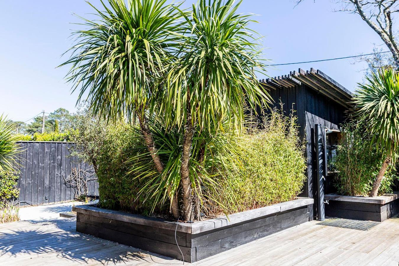 Lège-Cap-Ferret Beach House מראה חיצוני תמונה